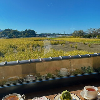 田園喫茶 Wild berry_1