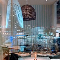 Pecorino Market&Restaurant - 店内の窓側から撮影。反射してしまいました。