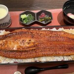 Seiryuu Unagi Tsukishima - 