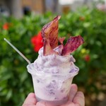 Hau tree gelato - 