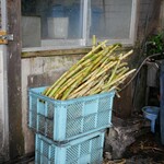 パーラー　ぱぱ屋 - 