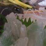 もぐり漁師の店 天草海士宴 - カワハギアップ