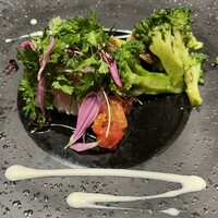 トラットリア イル レガーロ - 