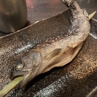 銀座方舟 大吟醸いろり店 - 
