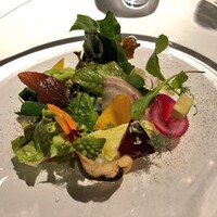 レフェルヴェソンス - 