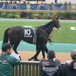 鳥千 - この子のおかげで万馬券取れた*\(^o^)/*