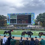 鳥千 - パドックもジャパンカップ仕様。