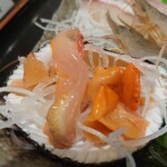 姫路まえどれ市場 - 赤貝♡紐付き♡