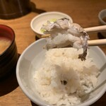 魚匠 銀平 - 鯛めし