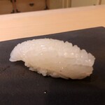 鮨 島本 - 剣先イカ