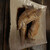宮崎地鶏もも焼き 輪鶏 - 料理写真:お通し