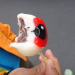 妖怪食品研究所 - 目玉まんじゅう