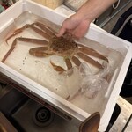 旬の魚と旨い酒 山田食堂 - 