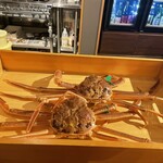 間人温泉郷 海雲館 - 生きてます　動いてます