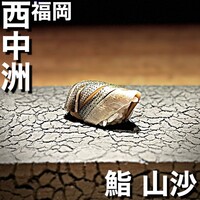 鮨 山沙 - 