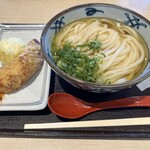 宮武讃岐うどん - ちょっと少なめなネギ日…(多め希望はしてるけどコレ)
