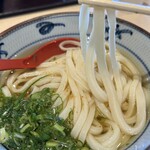 宮武讃岐うどん - しっかりとした弾力ある太麺