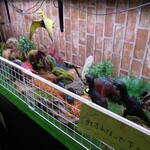 レストラン蘭  - 23年11月16日訪問