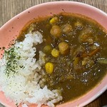 224776482 - ミニカレー