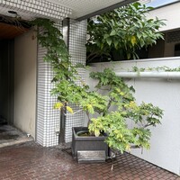 近松 - 