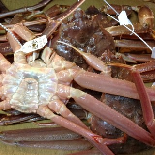 いくら(海蔵)ちゃん_1