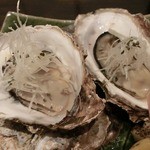 郷土味 かけはし - 