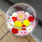Sushiro - ミューザ川崎に繋がる道には「綺麗な花」が飾られていました。