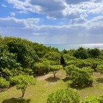 Ocean View Cafe PUCA PUCA - 