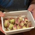 たでの葉 - 蕗は秋田県からでしたかね、実物を見せていただきましたが、今の時期はまだ蕾の状態で少し紫色が入ってました。