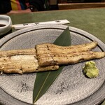 Unagi Fujita - 