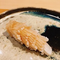 寿司処 しん - イカ