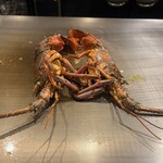 神戸プレジール - 