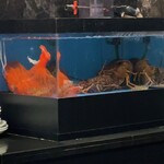 神戸プレジール - 