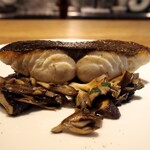 スガハラ - 伊豆大島 目鯛 + あわび茸 + 舞茸 + 平茸 + 椎茸