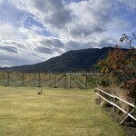 WINERYSTAY TRAVIGNE - 