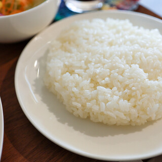 ノキシタカフェ オリーブの小路_1