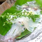 Tsuchikatsu - 定期的に仕入れている「活イカ」！獲れたてのイカは白く透き通り甘味が違います！