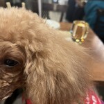 アガリコ 新宿 オリエンタルビストロ - 後ろ姿を撮ろうとしたら振り向いたｗ