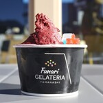 Funari GELATERIA - ・プレミアムW 900円/税込
                        (笛吹市・甲州市産 桃、鳴沢村産 ブルーベリー)