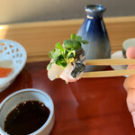 木晴 - 縞鯵アップ