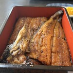 Toyama Unagi - 