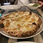 マッシモッタヴィオ - 