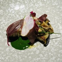 TOKi - 青い旨味の魚