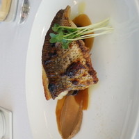 THE COSMOPOLITAN GRILL BAR TERRACE - 本日の鮮魚(クロダイ)