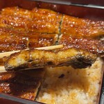 Unagi Jin - 