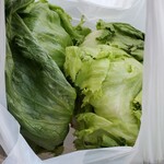 家系総本山 吉村家 - お土産　レタス2玉