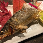 小川の魚 - 