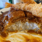 日乃屋カレー - 野菜の甘さと加糖されてる感じの強めに甘さがやって来る
            
            何だか甘味シッカリ目な
            『てりやきソース』みたいな味わいを連想した
            
            後から確かにじんわりと
            しかし確実にピリピリと舌に辛味がやって来る