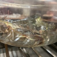 割烹 川田 - 