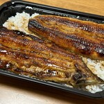 Unagi - 